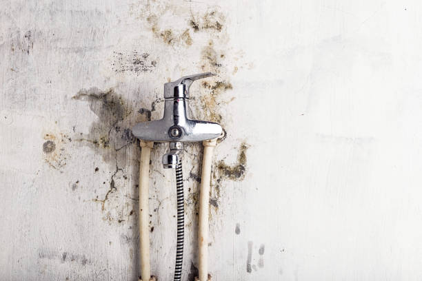 Professional Mold Remediation in Johnson Creek, WI