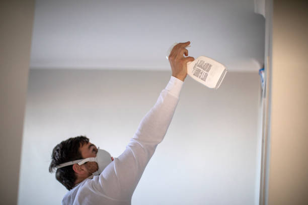 Best Emergency Mold Remediation in Johnson Creek, WI
