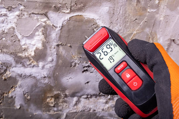 Best Post-Remediation Services in Johnson Creek, WI